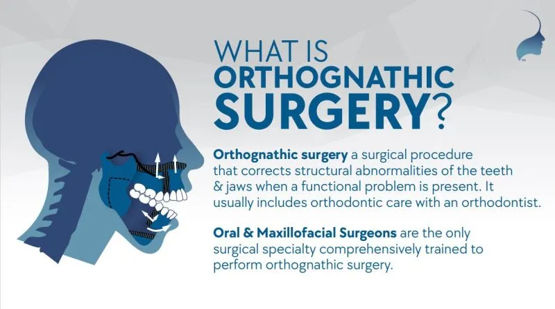 What is Ortho Skull